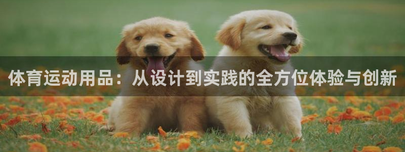 三亿体育：体育运动用品：从设计到实践的全方位体验与创新