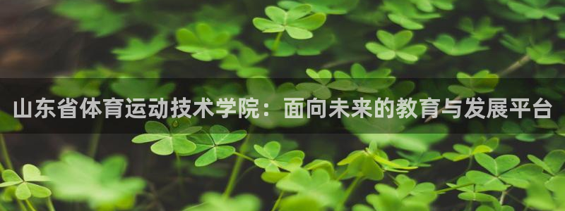 三亿体育网页版：山东省体育运动技术学院：面向未来的教育与发展平台