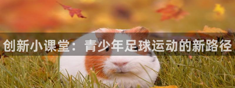三亿体育：创新小课堂：青少年足球运动的新路径