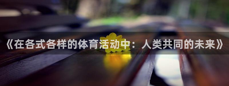 三亿体育登录：《在各式各样的体育活动中：人类共同的未来》