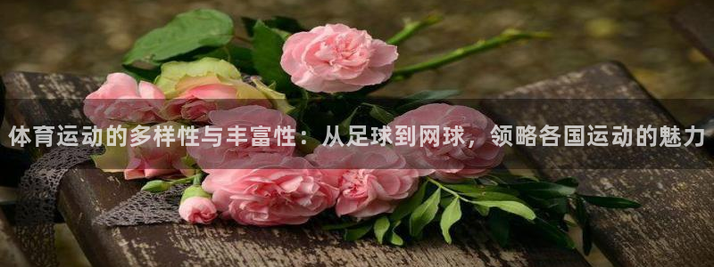 三亿体育网
