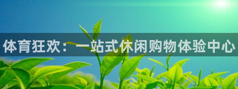三亿体育网页版：体育狂欢：一站式休闲购物体验中心