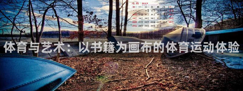 三亿体育网：体育与艺术：以书籍为画布的体育运动体验