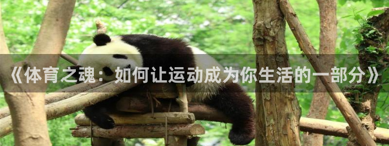 三亿体育：《体育之魂：如何让运动成为你生活的一部分》