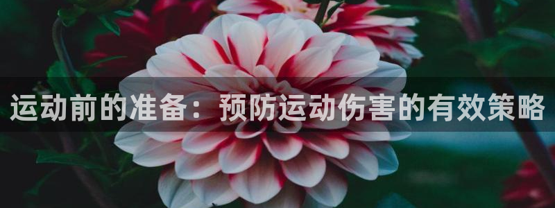 三亿体育
