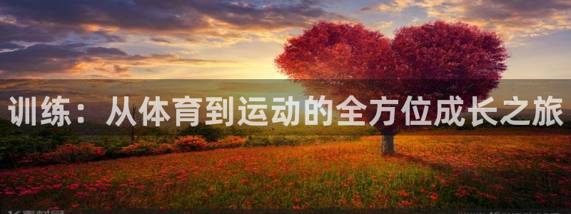 三亿体育登录：训练：从体育到运动的全方位成长之旅
